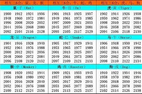 2019年生肖五行|2019年五行属什么命 2019年是什么命五行